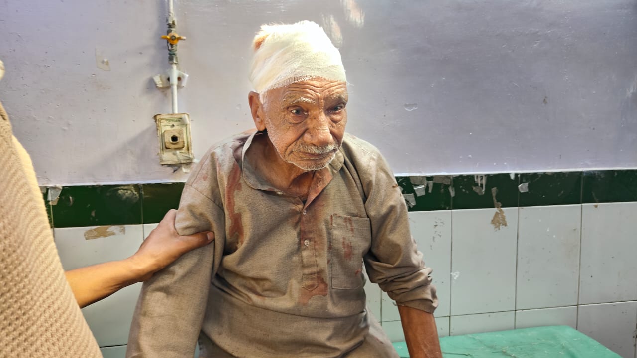 93 वर्षीय वृद्ध पर बंदरों का हमला, सिर में आयी गंभीर चोट